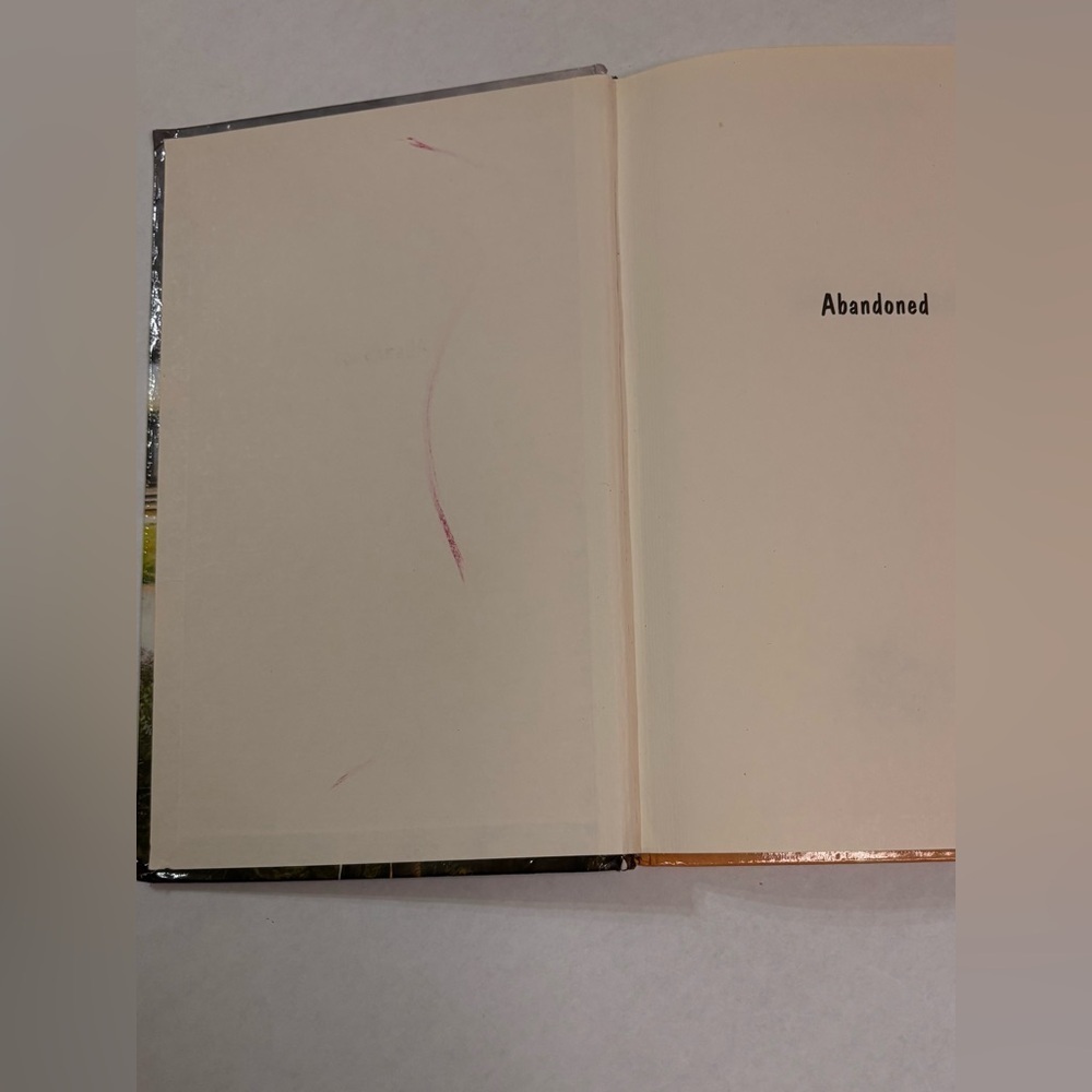 Pony 'Abandoned' Hardcover Book in Orange - Picture 4 of 6